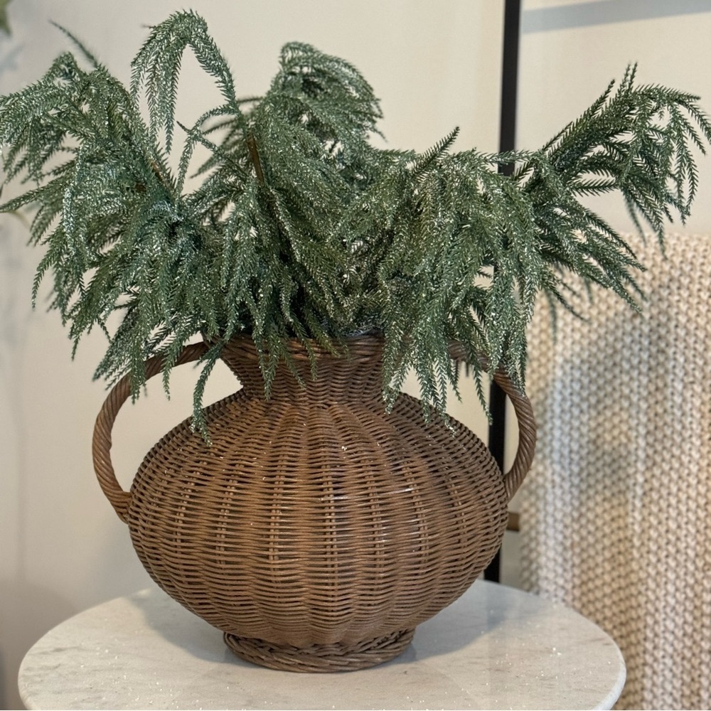 3/ My Texas House norfolk pine 24”stem
Decoration, Green,..